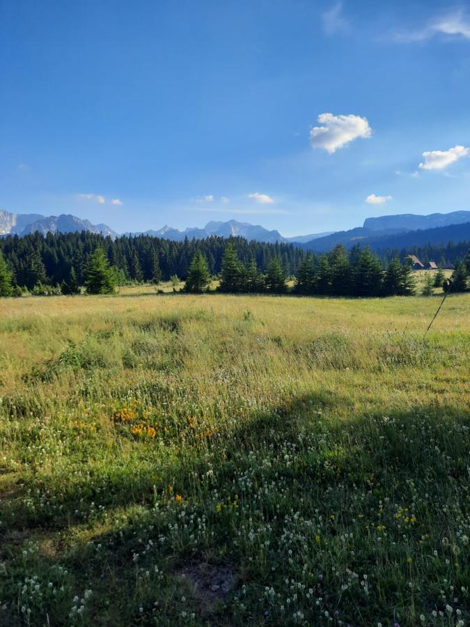Etno House Momcilo Villa Žabljak Kültér fotó