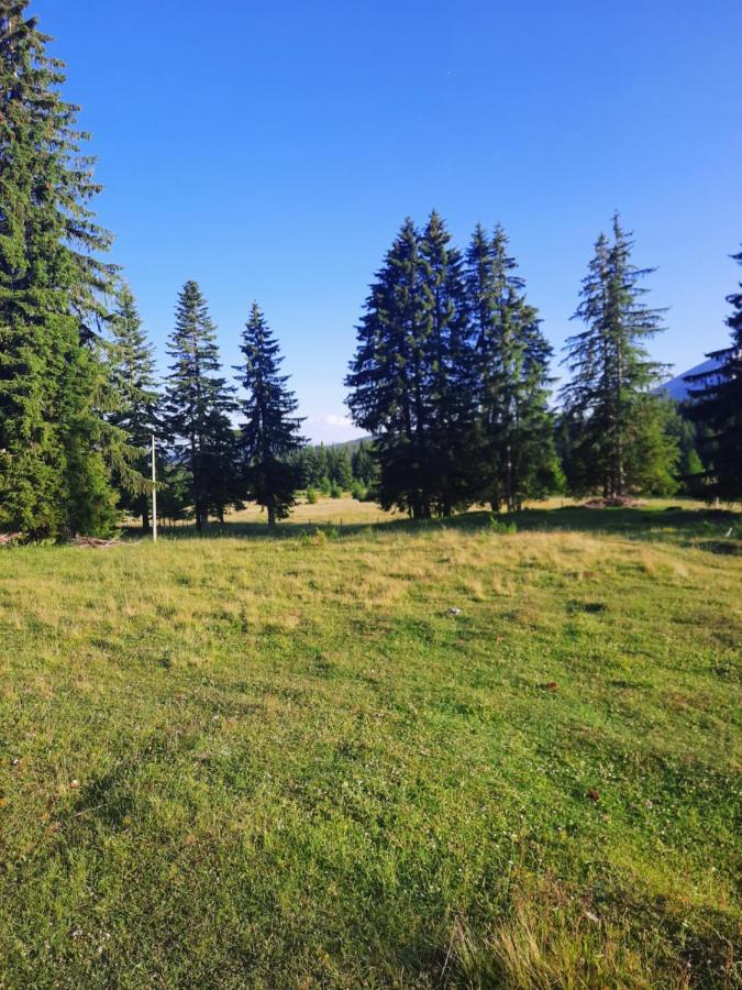 Etno House Momcilo Villa Žabljak Kültér fotó