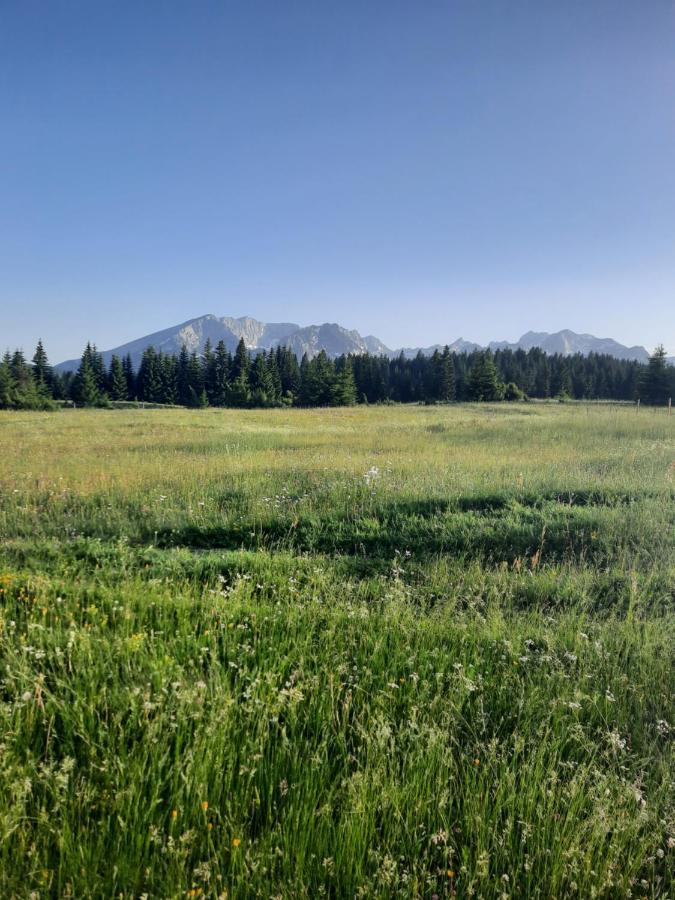 Etno House Momcilo Villa Žabljak Kültér fotó